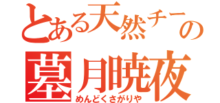 とある天然チーターの墓月暁夜（めんどくさがりや）