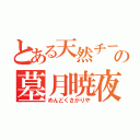 とある天然チーターの墓月暁夜（めんどくさがりや）