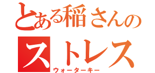 とある稲さんのストレス（ウォーターキー）