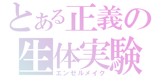 とある正義の生体実験（エンゼルメイク）