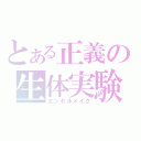 とある正義の生体実験（エンゼルメイク）