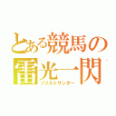 とある競馬の雷光一閃（ソリストサンダー）