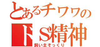 とあるチワワのドＳ精神（飼い主そっくり）