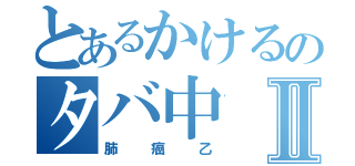 とあるかけるのタバ中Ⅱ（肺癌乙）