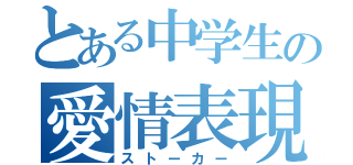 とある中学生の愛情表現（ストーカー）