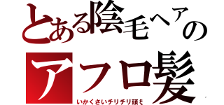 とある陰毛ヘアのアフロ髪（いかくさいチリチリ頭ξ）