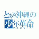 とある沖縄の少年革命家（ゆたぼん）