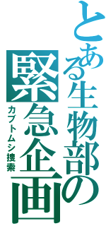 とある生物部の緊急企画（カブトムシ捜索）