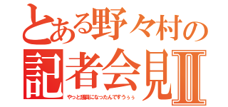 とある野々村の記者会見Ⅱ（やっと議員になったんですうぅぅ）