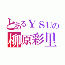 とあるＹＳＵの柳原彩里（）