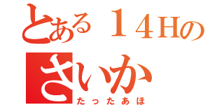 とある１４Ｈのさいか（たったあほ）