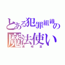 とある犯罪組織の魔法使い（黒崎凜）