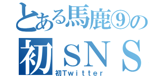 とある馬鹿⑨の初ＳＮＳ（初Ｔｗｉｔｔｅｒ）