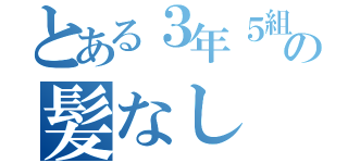 とある３年５組の髪なし（）