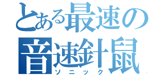 とある最速の音速針鼠（ソニック）