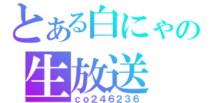 とある白にゃの生放送（ｃｏ２４６２３６）