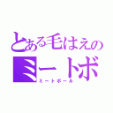 とある毛はえのミートボール（ミートボール）