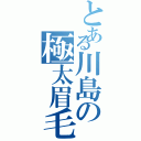 とある川島の極太眉毛Ⅱ（）