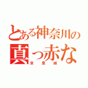 とある神奈川の真っ赤な電車（京急線）