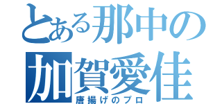 とある那中の加賀愛佳（唐揚げのプロ）