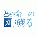 とある命の刈り獲る（カタチ）