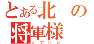 とある北の将軍様（テポドン）