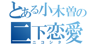 とある小木曽の二下恋愛（ニコシタ）