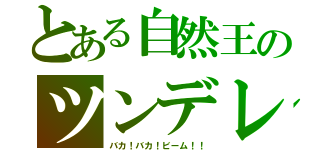 とある自然王のツンデレ（バカ！バカ！ビーム！！）