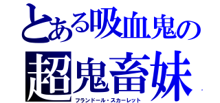 とある吸血鬼の超鬼畜妹（フランドール・スカーレット）