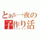 とある一夜の子作り活動（ベットイン）