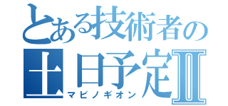 とある技術者の土日予定表Ⅱ（マビノギオン）