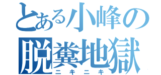 とある小峰の脱糞地獄（ニキニキ）