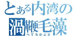 とある内湾の渦鞭毛藻（へてろかぷさ）