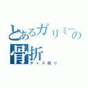 とあるガリミーの骨折（チャス蹴り）