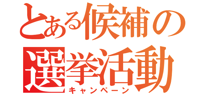 とある候補の選挙活動（キャンペーン）