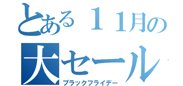 とある１１月の大セール（ブラックフライデー）