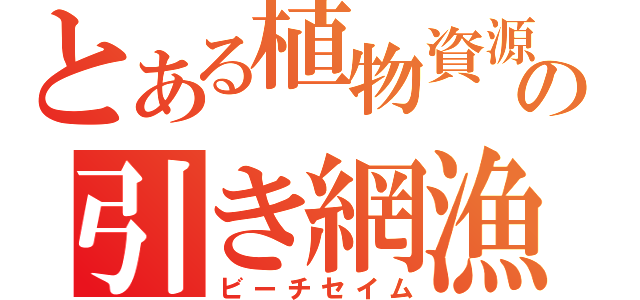 とある植物資源科学科の引き網漁（ビーチセイム）