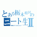 とある栃木県民のニート生活Ⅱ（将来はそうなるんだよ？）