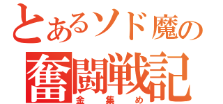 とあるソド魔の奮闘戦記（金集め）