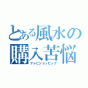 とある風水の購入苦悩（テレビショッピング）