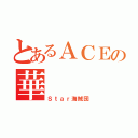 とあるＡＣＥの華（Ｓｔａｒ海賊団）