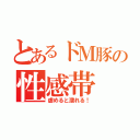 とあるドＭ豚の性感帯（虐めると濡れる！）