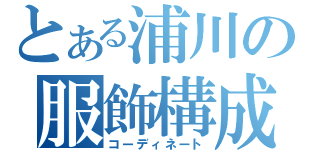 とある浦川の服飾構成（コーディネート）