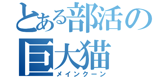 とある部活の巨大猫（メインクーン）