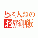 とある人類のお昼御飯（カレーライス）