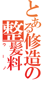 とある修造の整髪料（ウーノ）