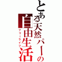 とある天然パーマの自由生活（フリーライフ）