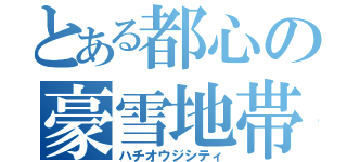 とある都心の豪雪地帯（ハチオウジシティ）