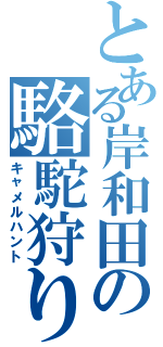 とある岸和田の駱駝狩り（キャメルハント）