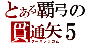 とある覇弓の貫通矢５（クーネレラカム）